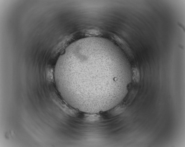 X0000102770621200809081006