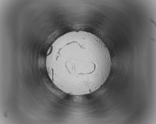 X0000102770623200809081006