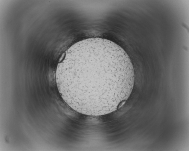 X0000102770624200809081006