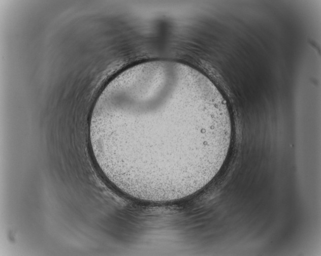 X0000102770625200809081005