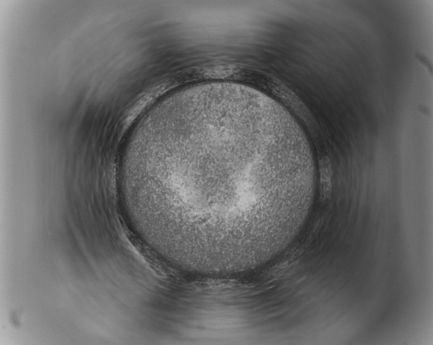 X0000102770626200809081005