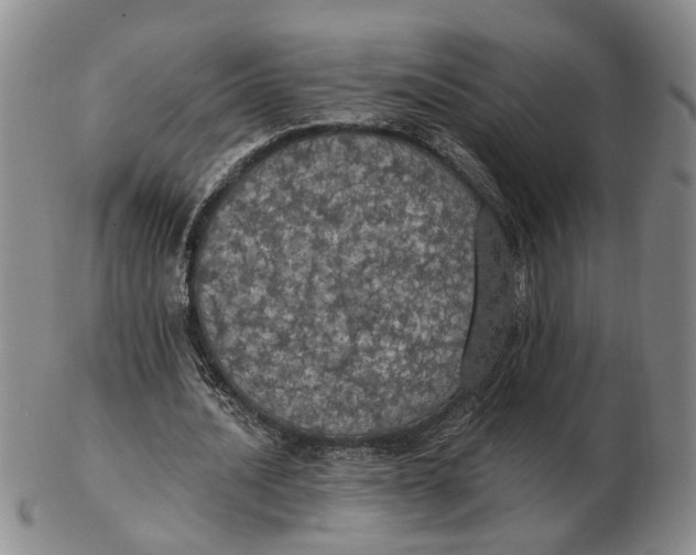 X0000102770628200809081005