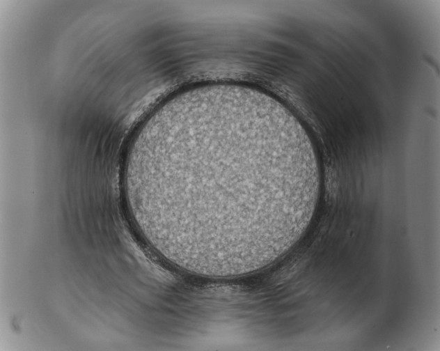 X0000102770629200809081005