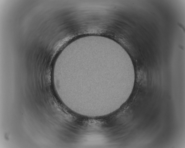 X0000102770632200809081005