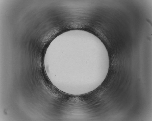 X0000102770635200809081005