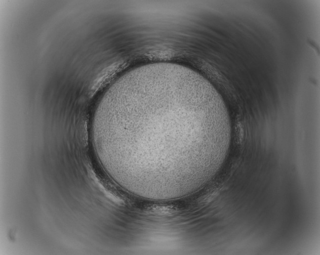 X0000102770638200809081005