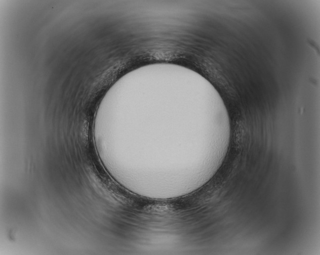 X0000102770639200809081005