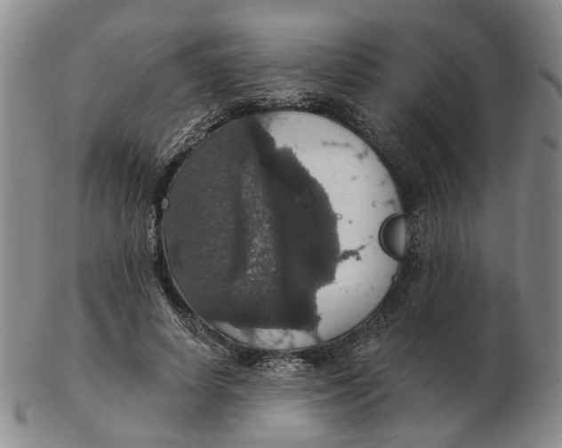 X0000102770642200809081006