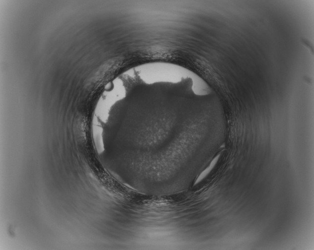 X0000102770643200809081006