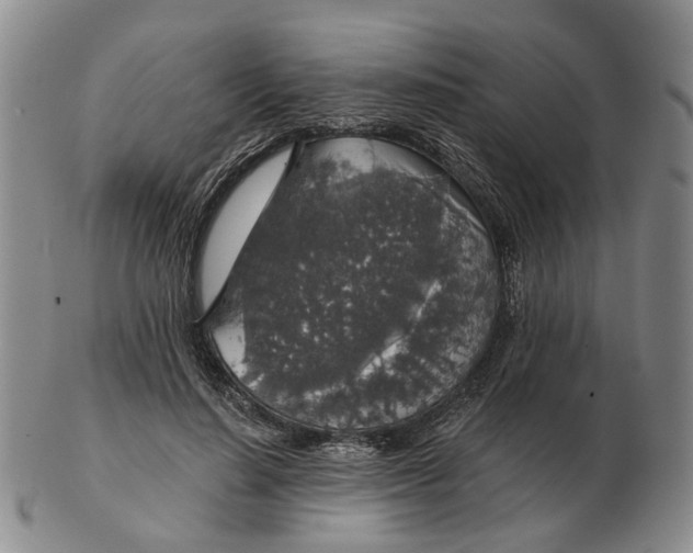 X0000102770644200809081006