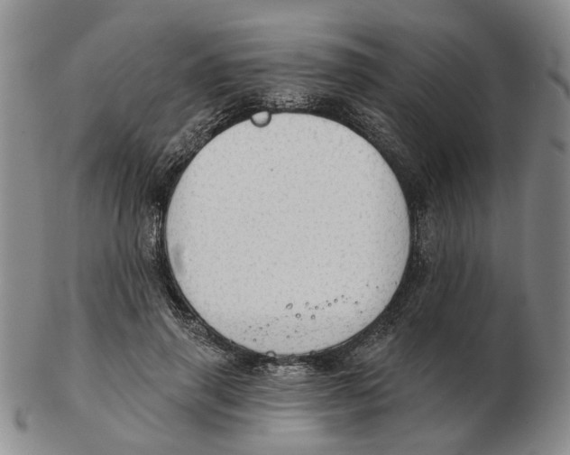 X0000102770645200809081006