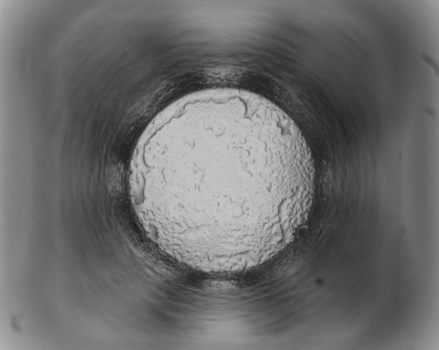 X0000102770649200809081006