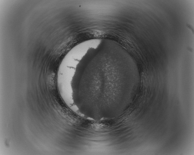 X0000102770650200809081006