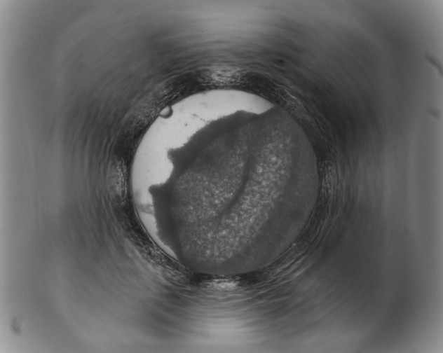 X0000102770651200809081006