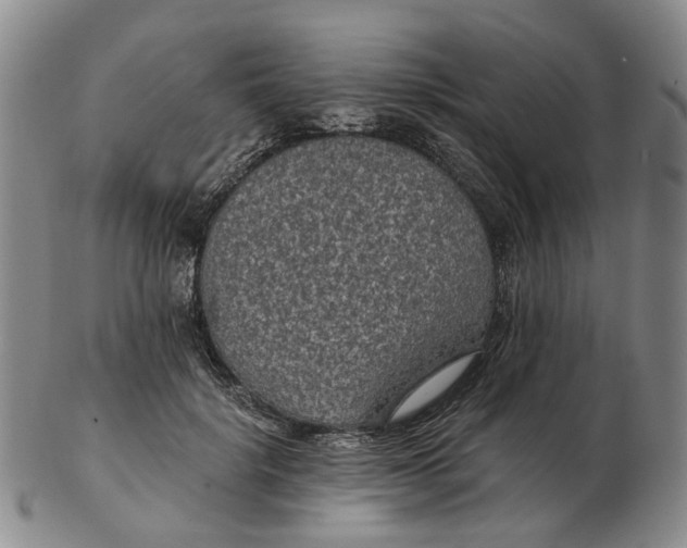 X0000102770652200809081006