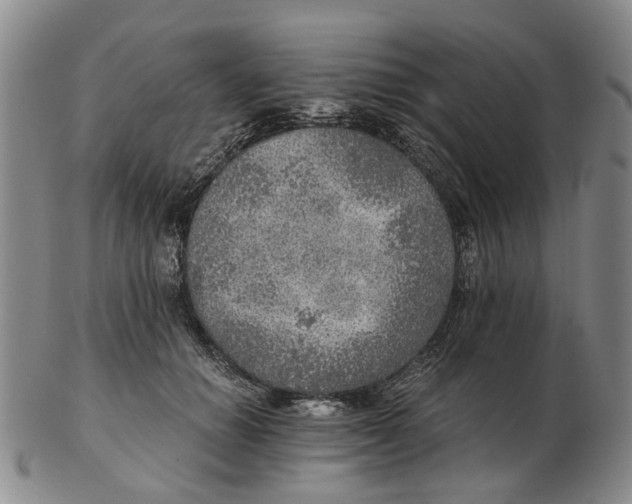 X0000102770654200809081006