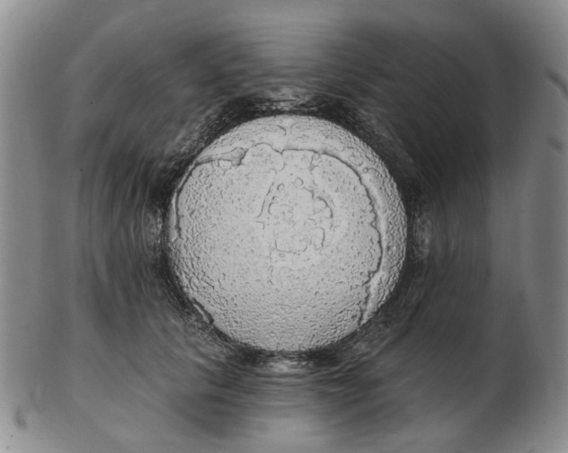 X0000102770657200809081006