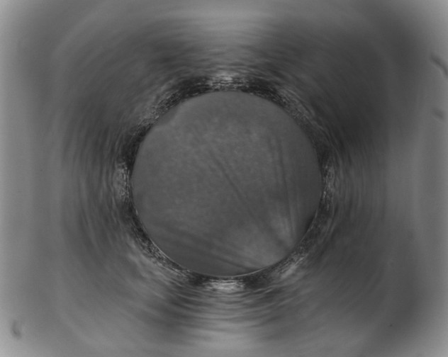 X0000102770659200809081006