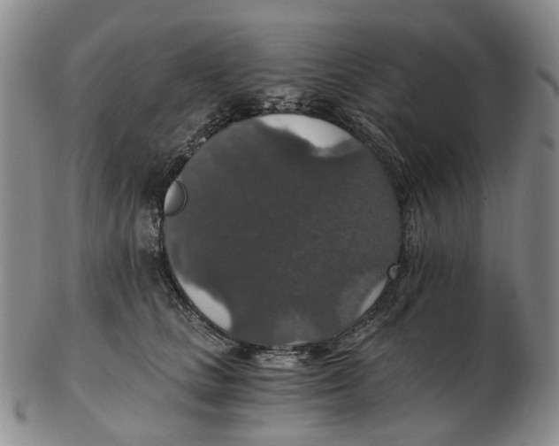 X0000102770661200809081006