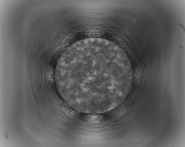 X0000102770663200809081006