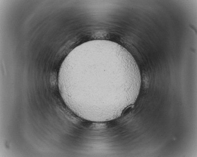 X0000102770665200809081006