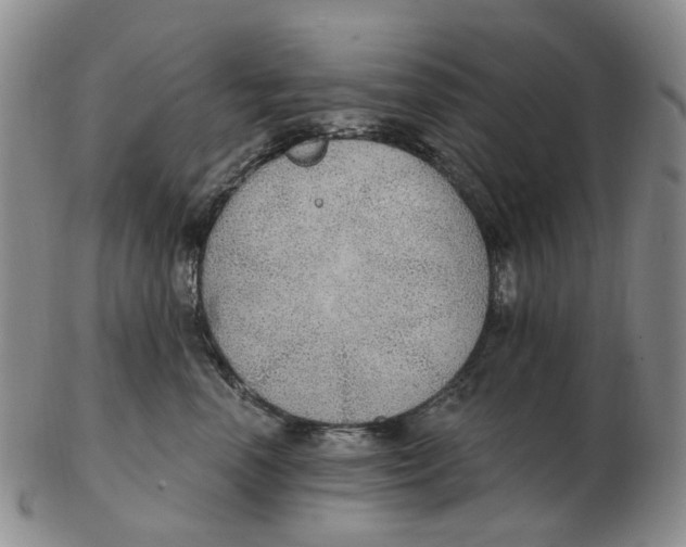 X0000102770666200809081006