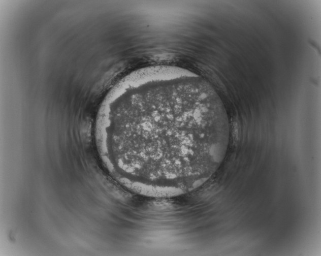 X0000102770668200809081006