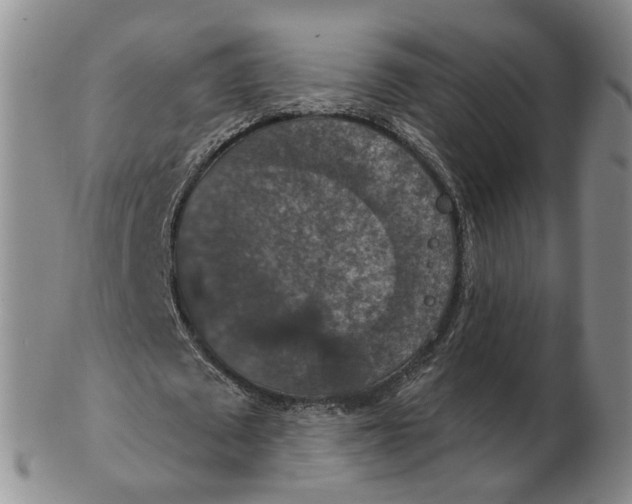 X0000102770673200809081005