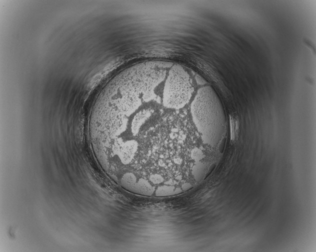 X0000102770675200809081005