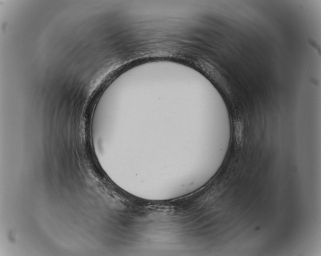 X0000102770676200809081005