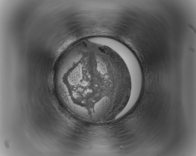 X0000102770679200809081005