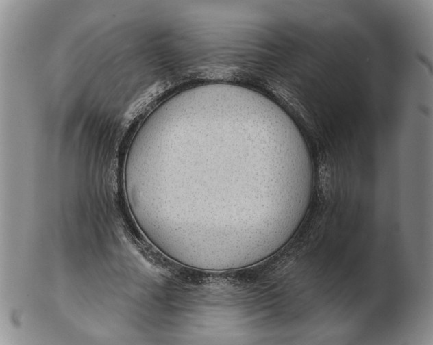 X0000102770682200809081005