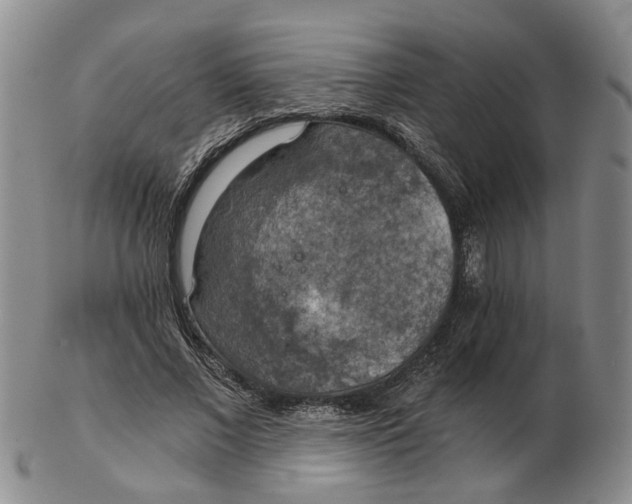 X0000102770685200809081005