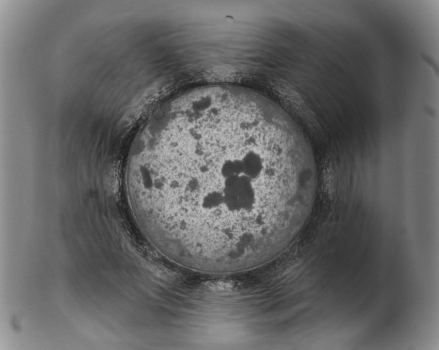 X0000102770687200809081005