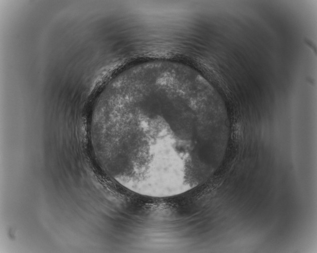 X0000102770688200809081005