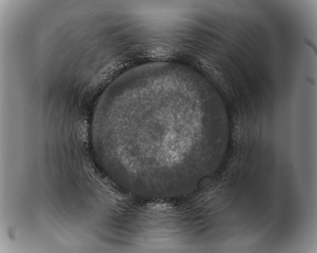 X0000102770689200809081005