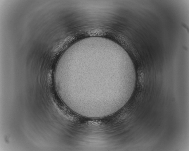 X0000102770690200809081005