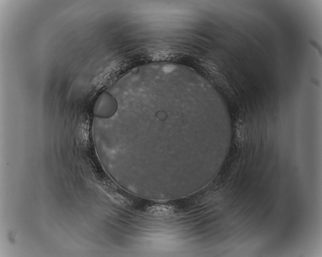 X0000102770691200809081005