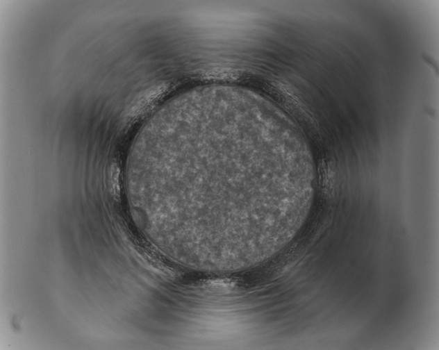 X0000102770692200809081005