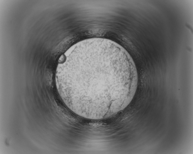 X0000102770693200809081005