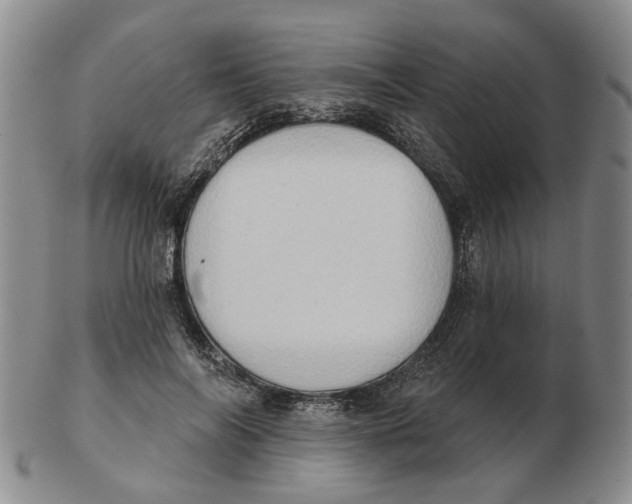 X0000102770694200809081005