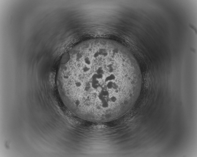 X0000102770695200809081005