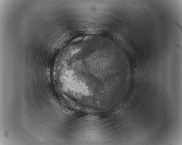 X0000102770696200809081005