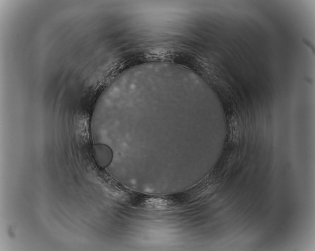 X0000102770699200809081005