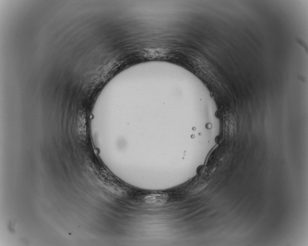 X0000102770700200809081005