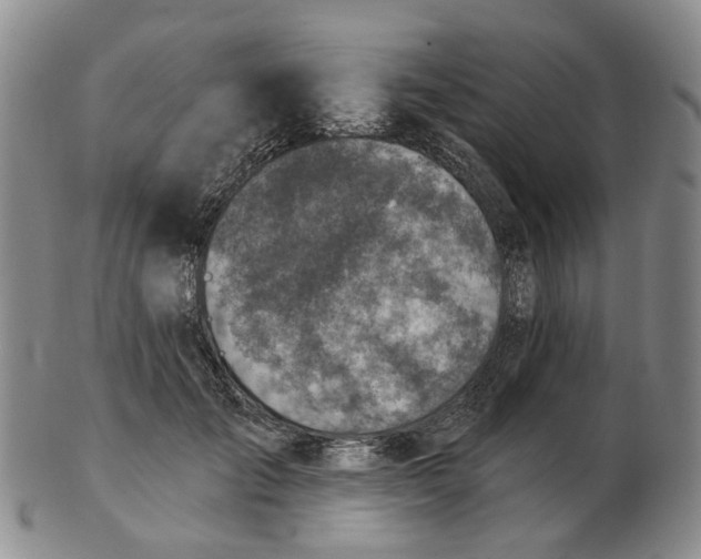 X0000102770701200809081005