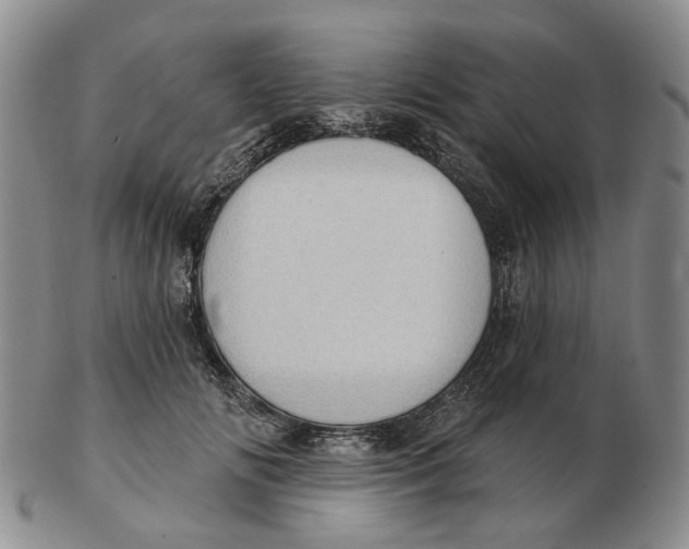 X0000102770702200809081005