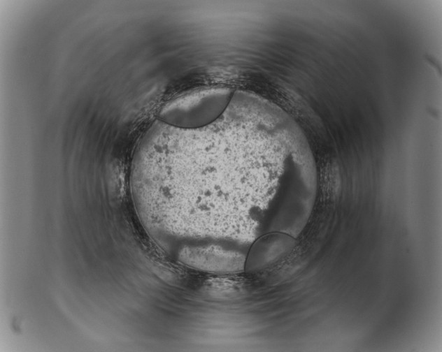 X0000102770703200809081005