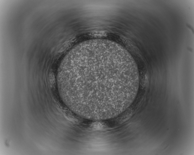 X0000102770704200809081005