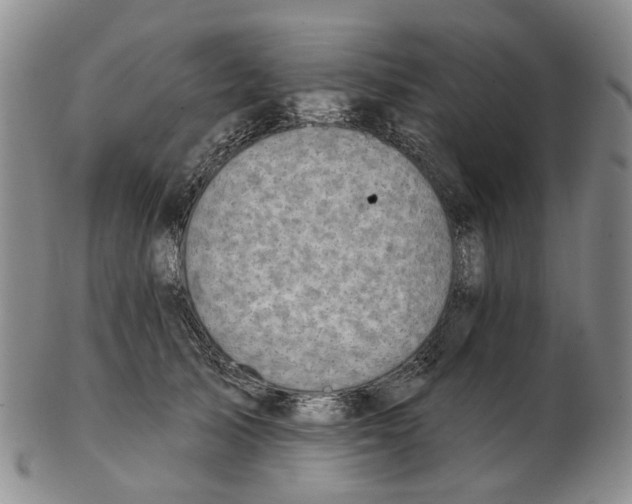 X0000102770705200809081005